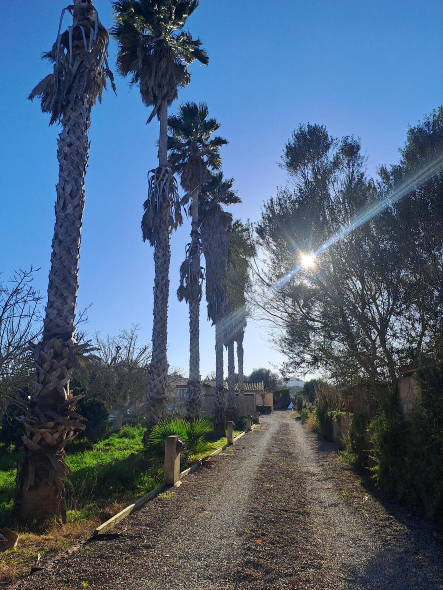 Es Garballons Manacor  Buitenkant foto