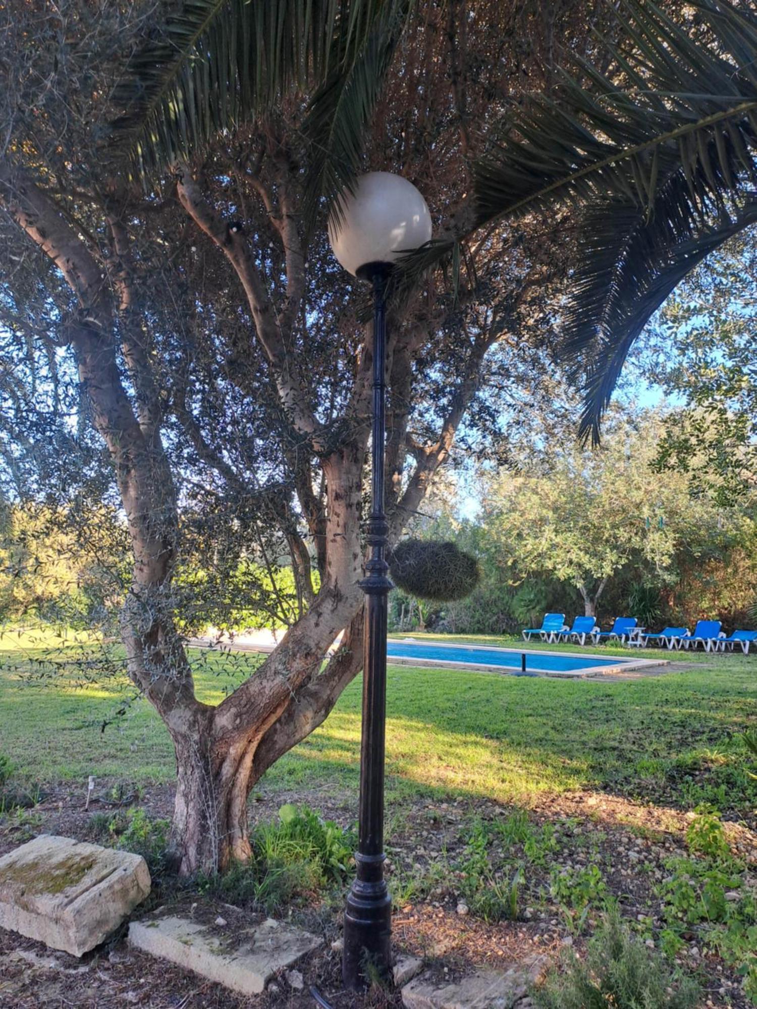 Es Garballons Manacor  Buitenkant foto